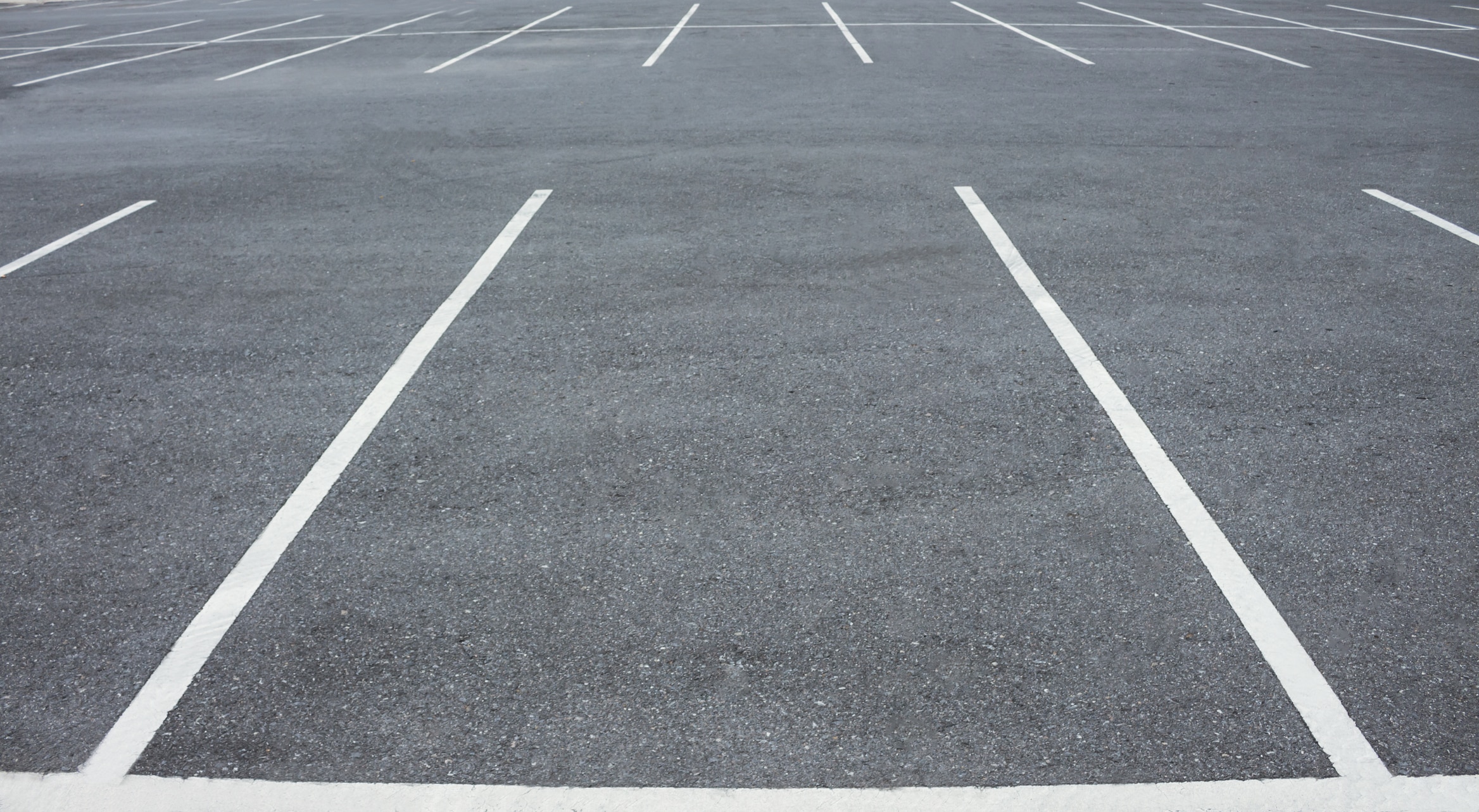 Empty Car parking lot with white mark.